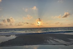 IMG_3341