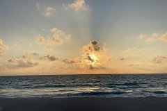 IMG_3342