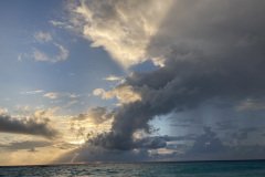 IMG_3354