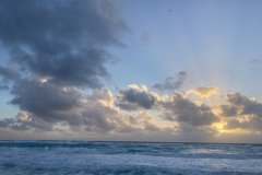 IMG_3379