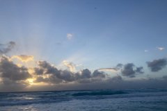 IMG_3380