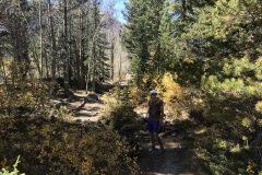 IMG_0930