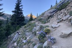 IMG_3106