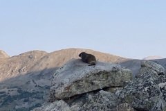 IMG_3142
