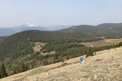 IMG_3221