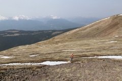 IMG_3222