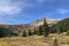 IMG_3236