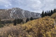 IMG_3240