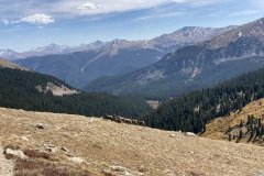IMG_3253