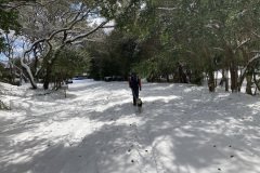 IMG_3651-1
