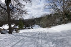 IMG_3654-1